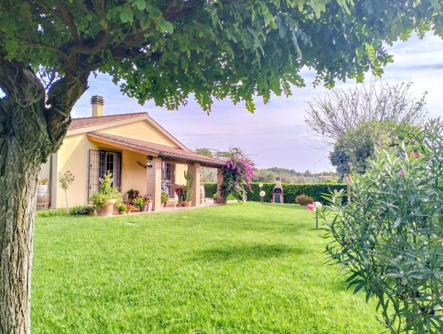 Villetta Rio, Large Private Garden Cecina (Livorno) Kültér fotó