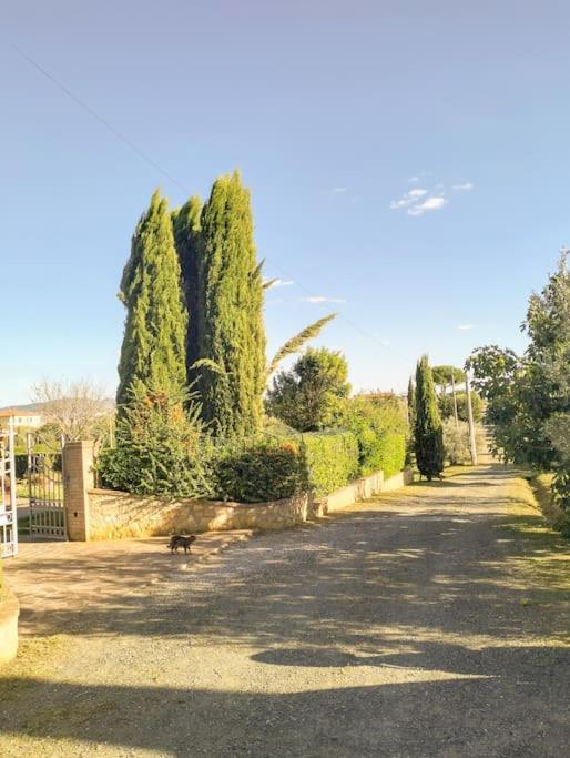 Villetta Rio, Large Private Garden Cecina (Livorno) Kültér fotó